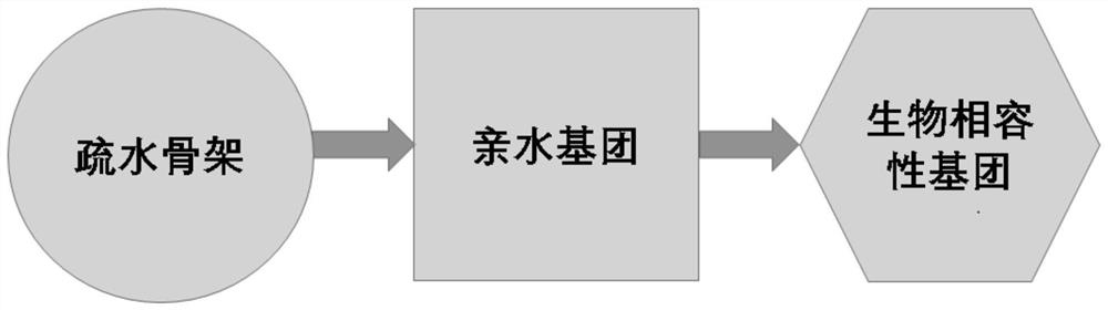 一种选择性渗透的生物相容性膜及其制备方法与应用