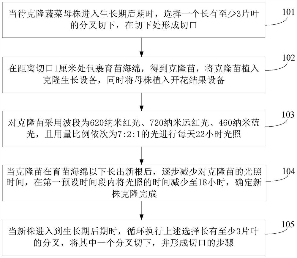 结果类蔬菜克隆新株的方法及设备