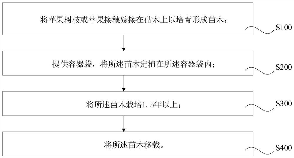 苹果树苗的成苗栽培方法