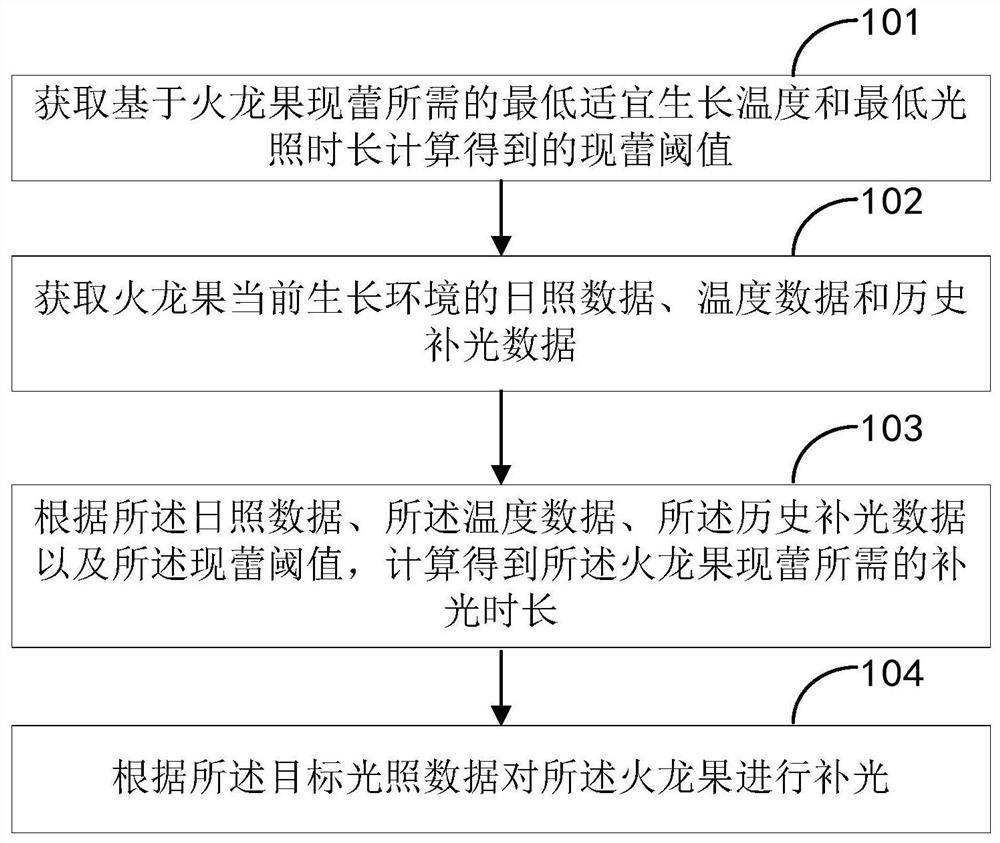 一种火龙果生长的补光方法、装置、终端和可读存储介质