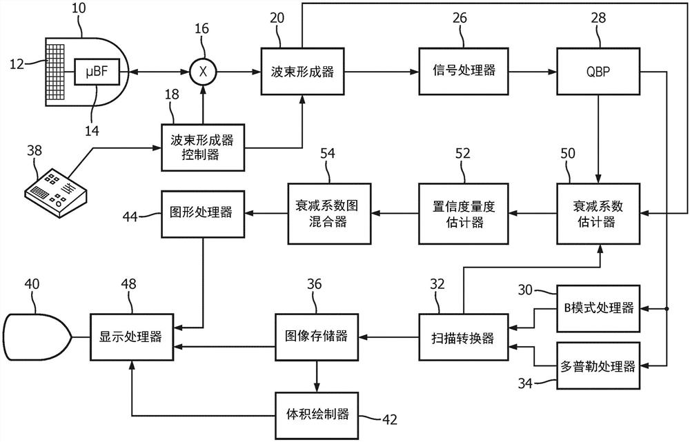 具有置信度估计的声衰减系数的超声成像