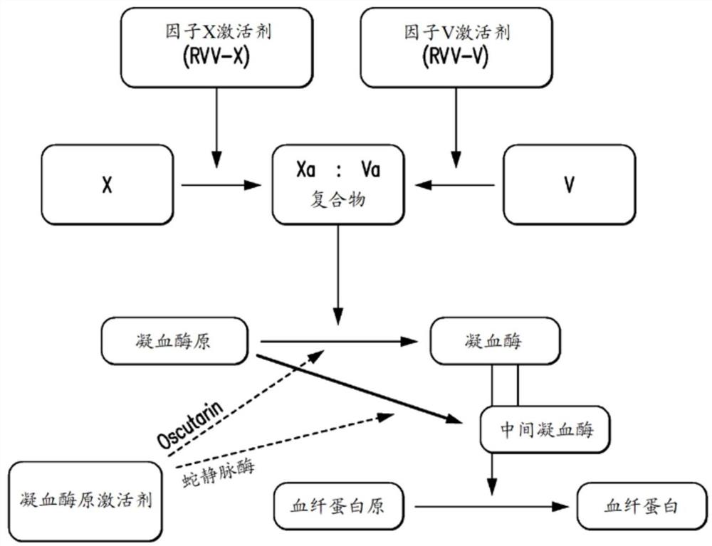 用于治疗骨损伤的组合物和方法