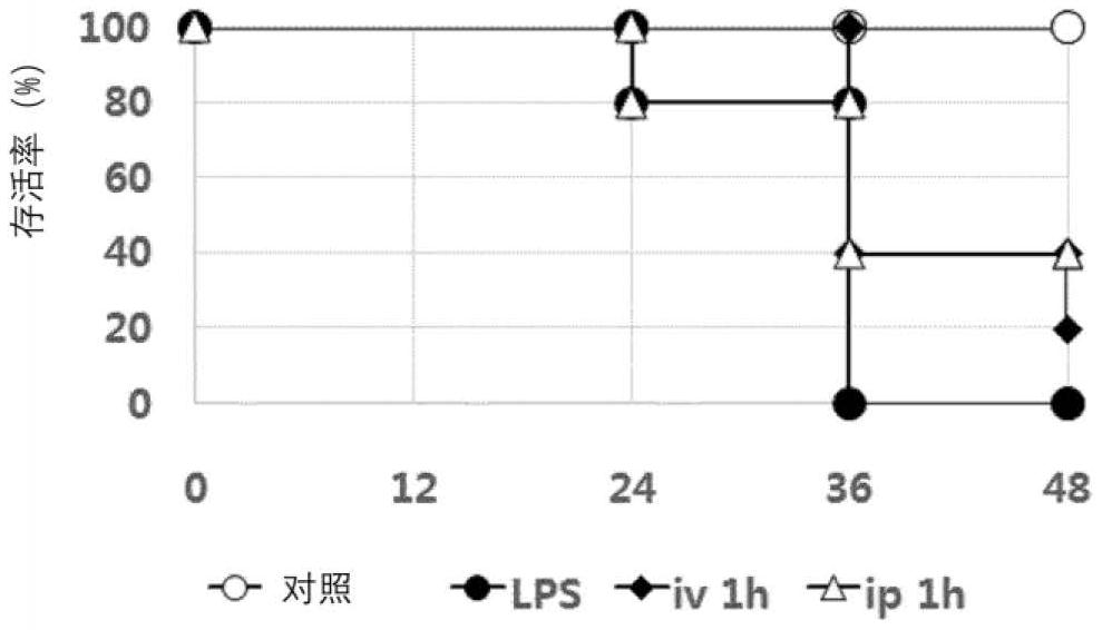 P1P衍生物作为脓毒症治疗剂的用途