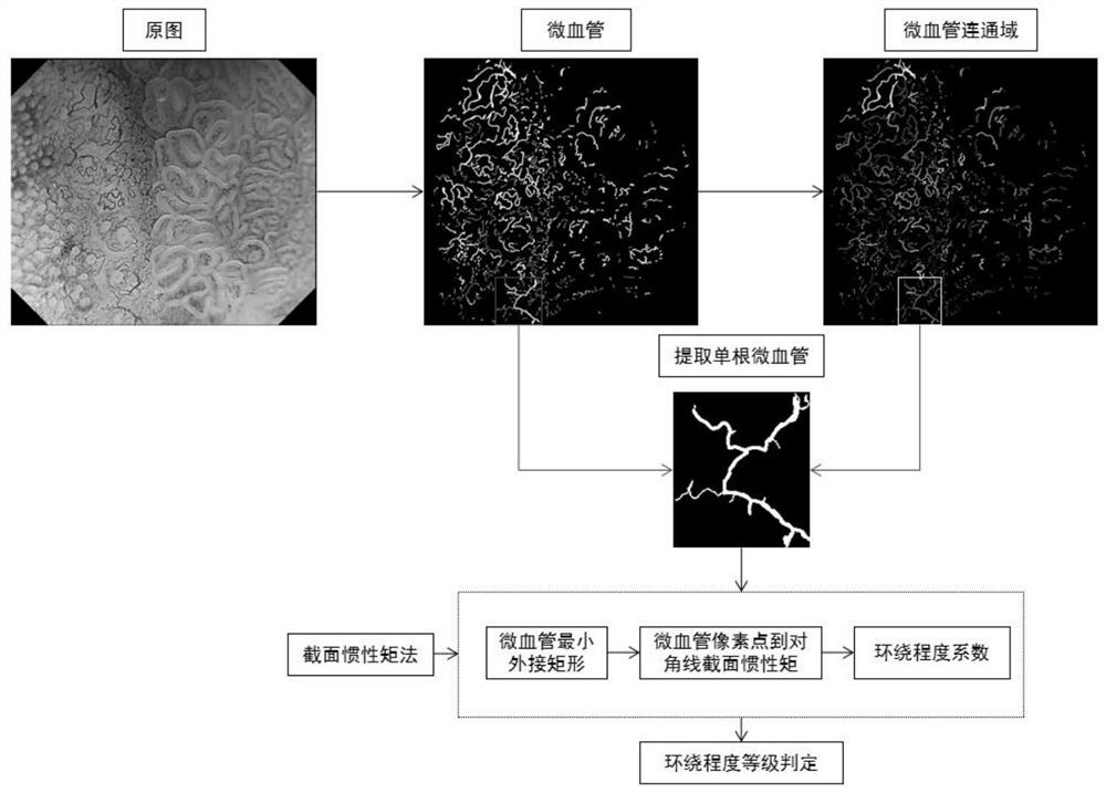 胃黏膜染色放大成像的微血管环绕程度量化方法