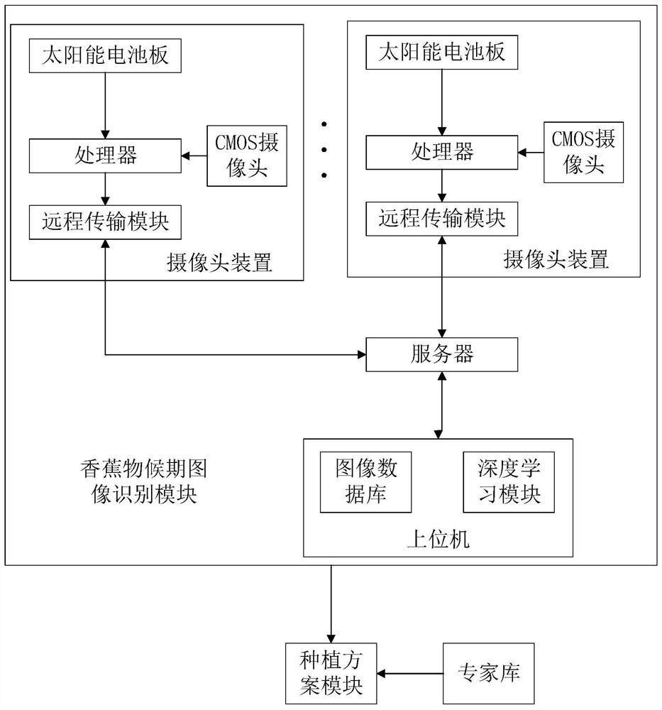 一种香蕉物候期监控模块及种植系统