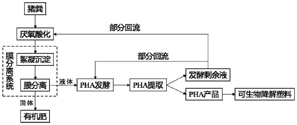 一种猪粪定向酸化制备不同聚羟基脂肪酸酯的方法