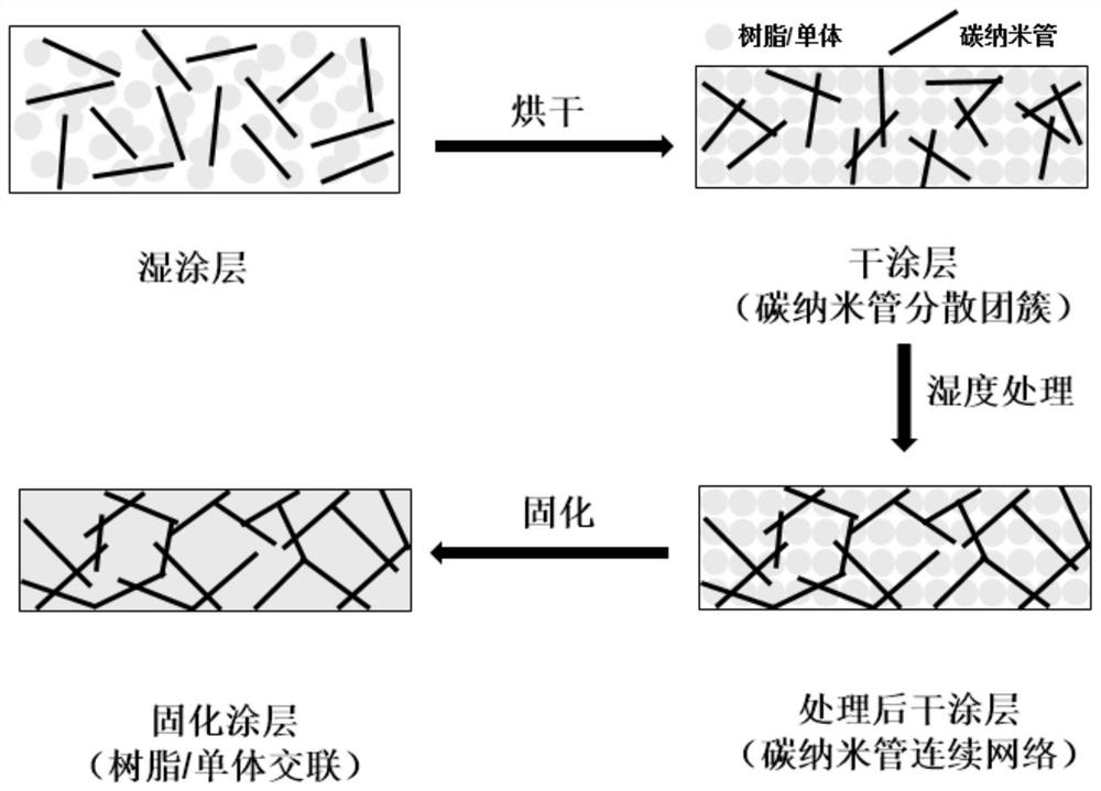 碳纳米管防静电涂层及其制备方法与应用