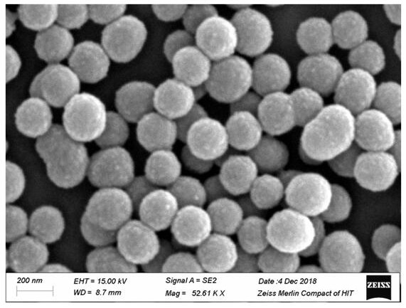 聚多巴胺-二氧化锰纳米微球在制备抗菌药物中的应用