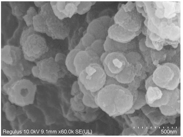 光热剂PACP-MnO2纳米微球在制备抗菌药物中的应用