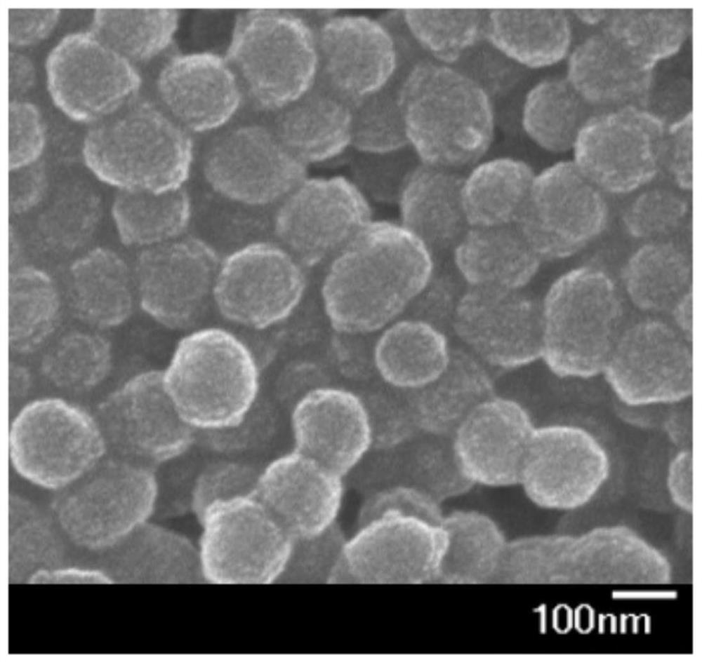 一种细胞易摄取的肿瘤靶向纳米药物载体及其制备方法、应用