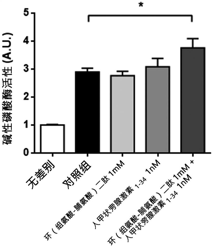 包含环(组氨酸-脯氨酸)二肽及甲状旁腺激素的组合物用于预防、改善或治疗骨质流失疾病的用途