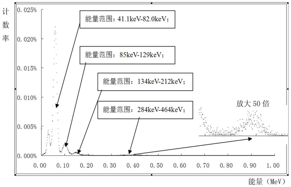 一种核燃料棒PuO2丰度在线检测方法及系统