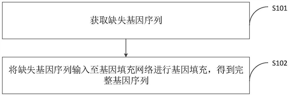 基因填充方法、装置、计算机设备和存储介质