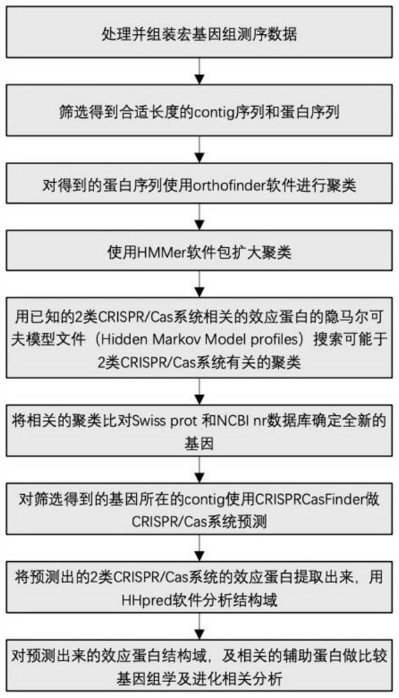 一种同源2型CRISPR/Cas基因编辑系统的构建方法