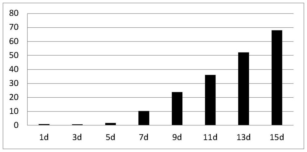 3D肿瘤全抗原诱导激活的CTL细胞体外扩增培养方法