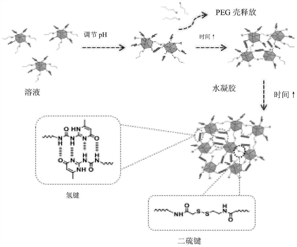 一种双交联网络水凝胶及其可控制备方法