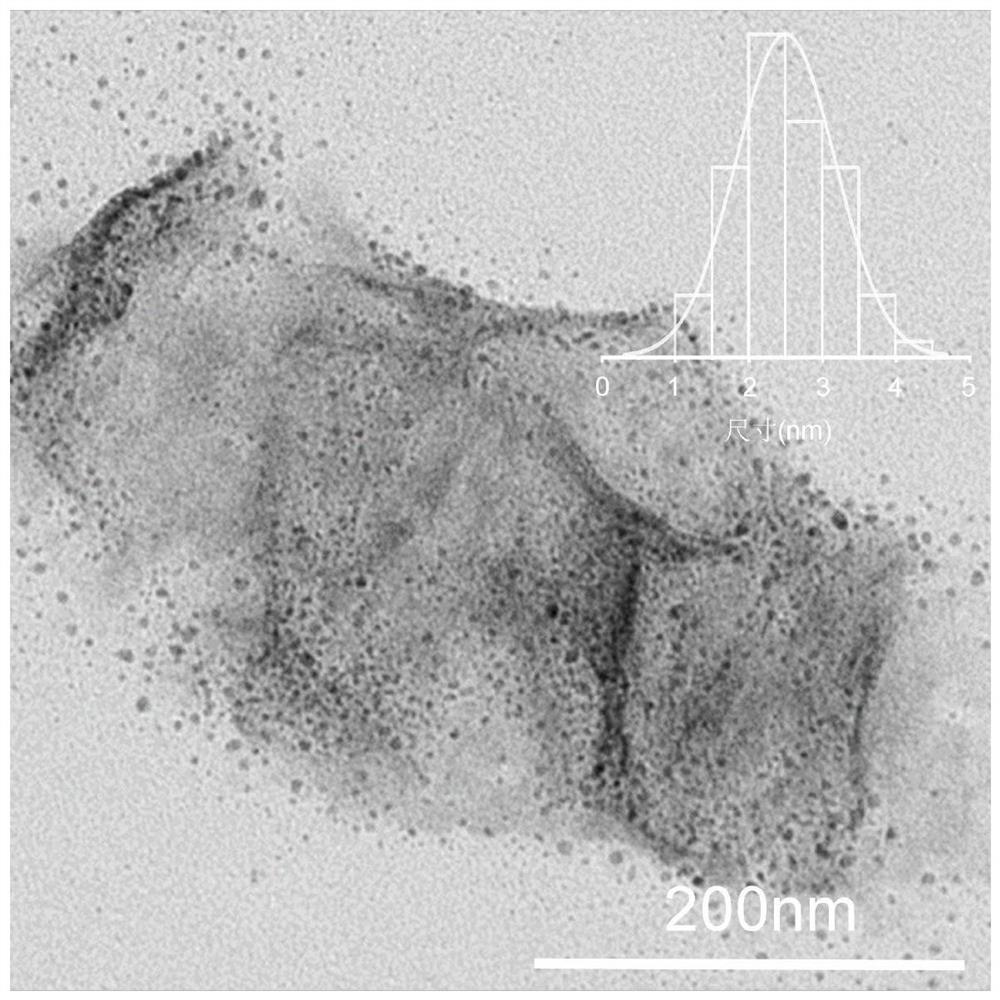 氮掺杂碳纳米片负载氧化亚铁量子点的氧还原电催化剂、其制备方法及应用