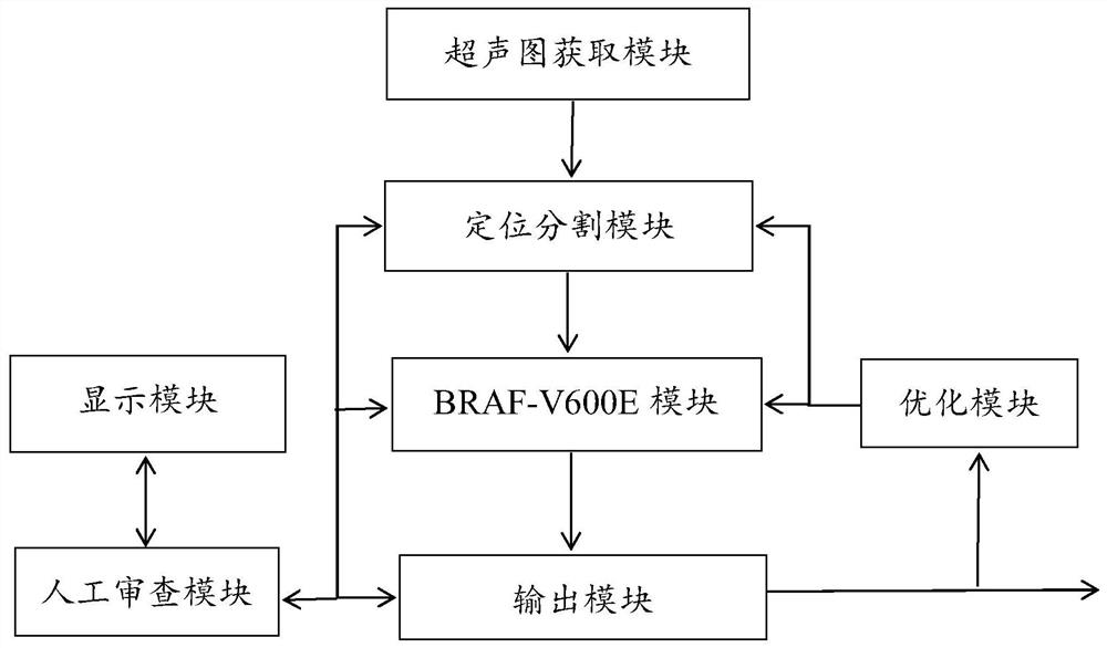 用于检测BRAF-V600E突变的系统和方法