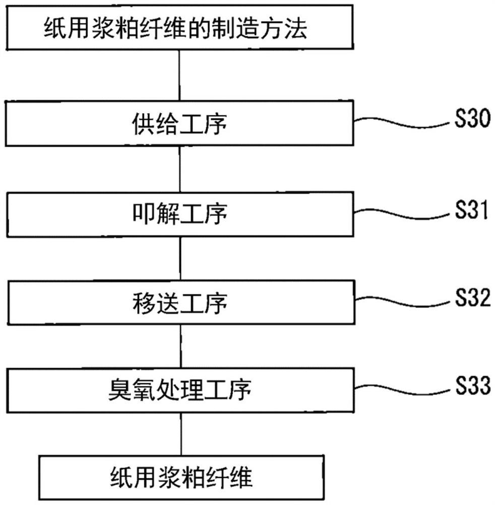 源自针叶树的纸用浆粕纤维的制造方法以及源自针叶树的纸用浆粕纤维