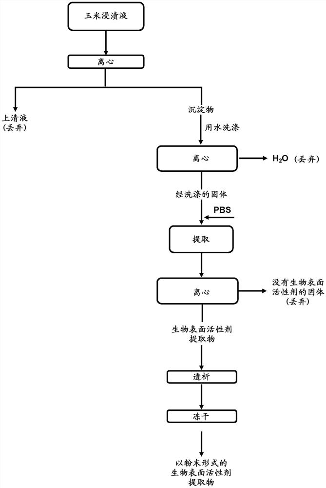 用于从玉米浸渍液中水性提取生物表面活性剂的方法