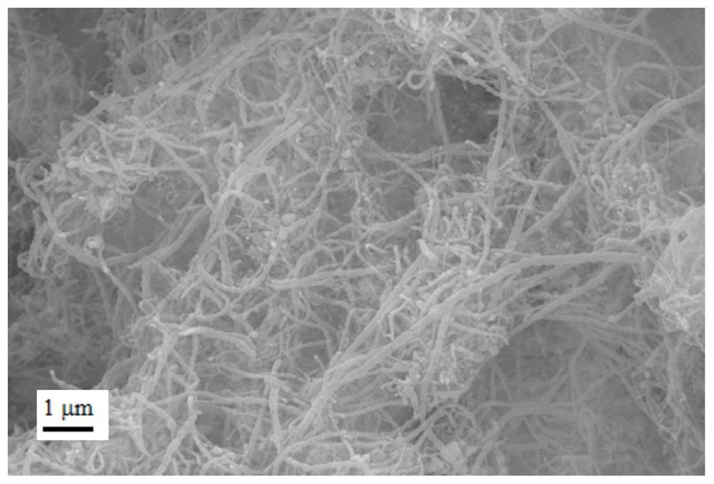 一种碳纳米管/铁网光热材料的制备方法及应用