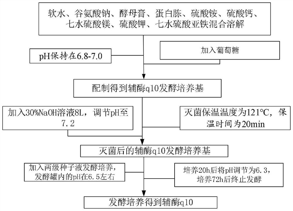 一种辅酶q10的发酵生产方法