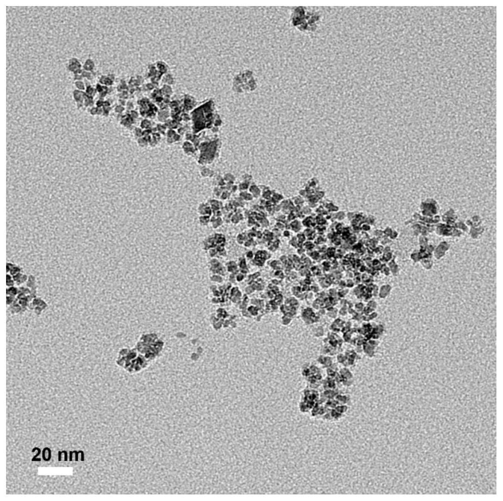 一种利用真菌胞外聚合物制备赤铁矿纳米颗粒的方法