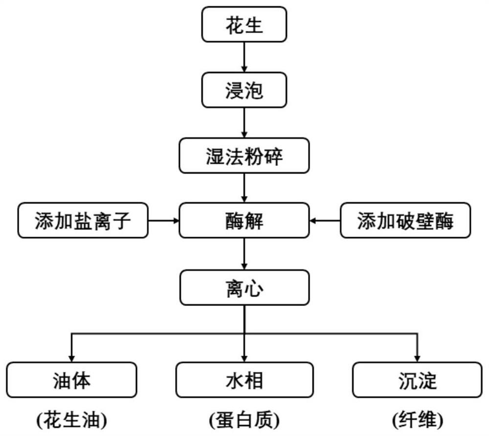 一种盐离子辅助水酶法提取花生油体和蛋白的方法