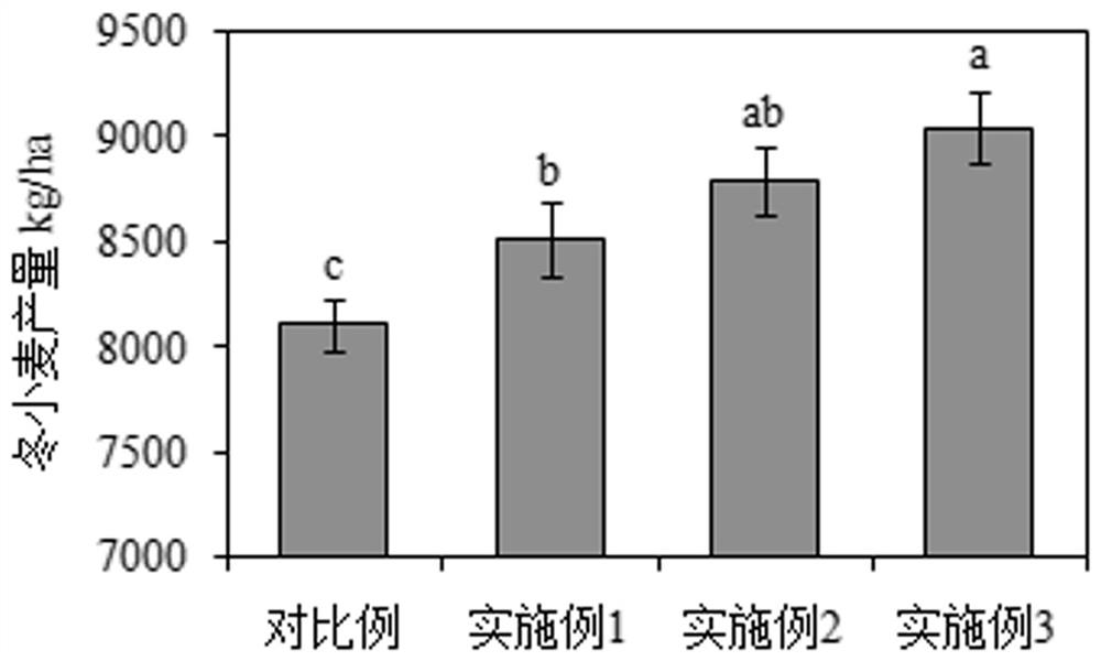 一种提高土壤微生物多样性和冬小麦产量的轮作栽培方法