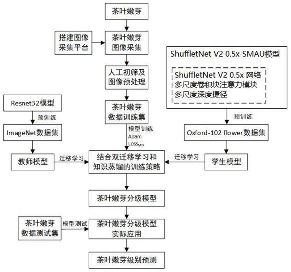 一种结合改进注意力机制和知识蒸馏的茶叶嫩芽分级方法