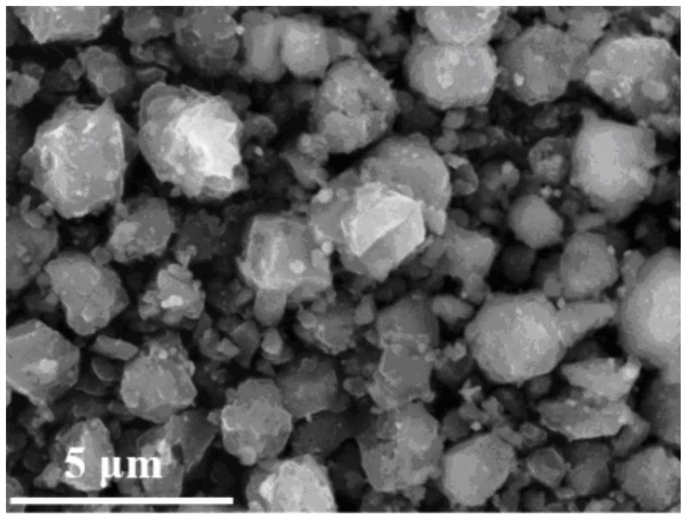 一种沸石分子筛包覆金属纳米颗粒催化剂及其制备方法