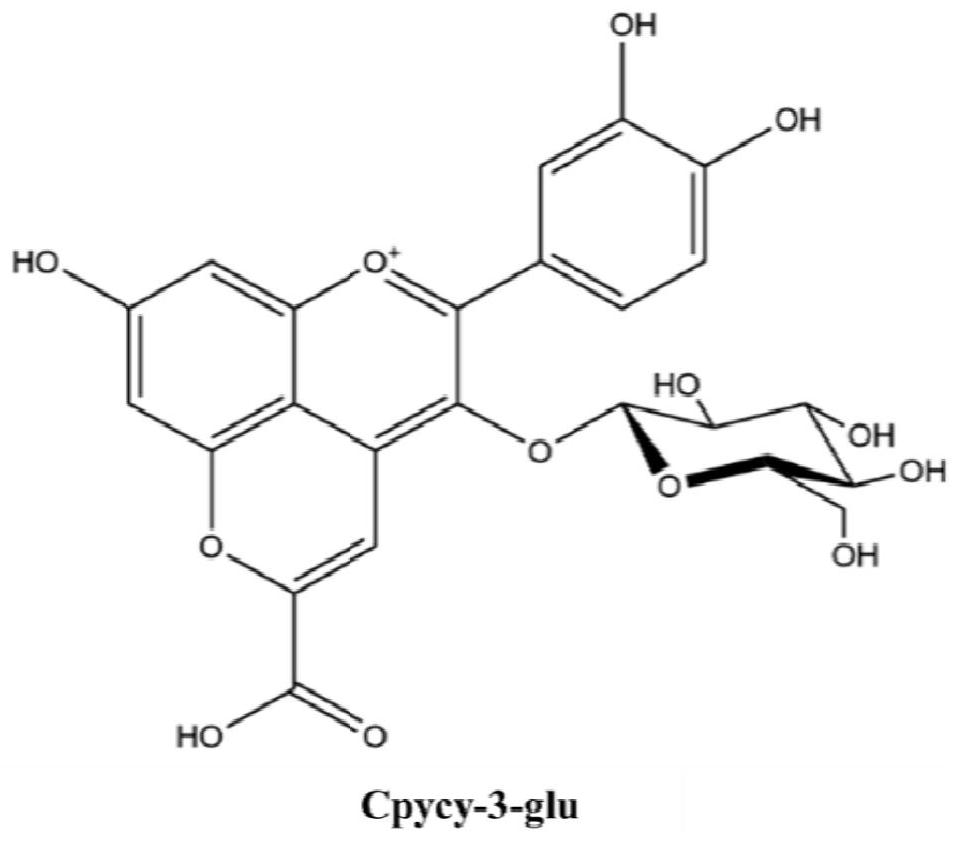 花色苷衍生物用于制备治疗胆固醇代谢异常的药物的应用