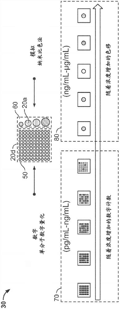 纳米传感器及其用途