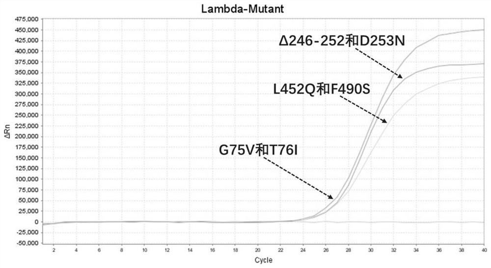 2019新型冠状病毒拉姆达变异株核酸检测试剂、试剂盒及检测方法
