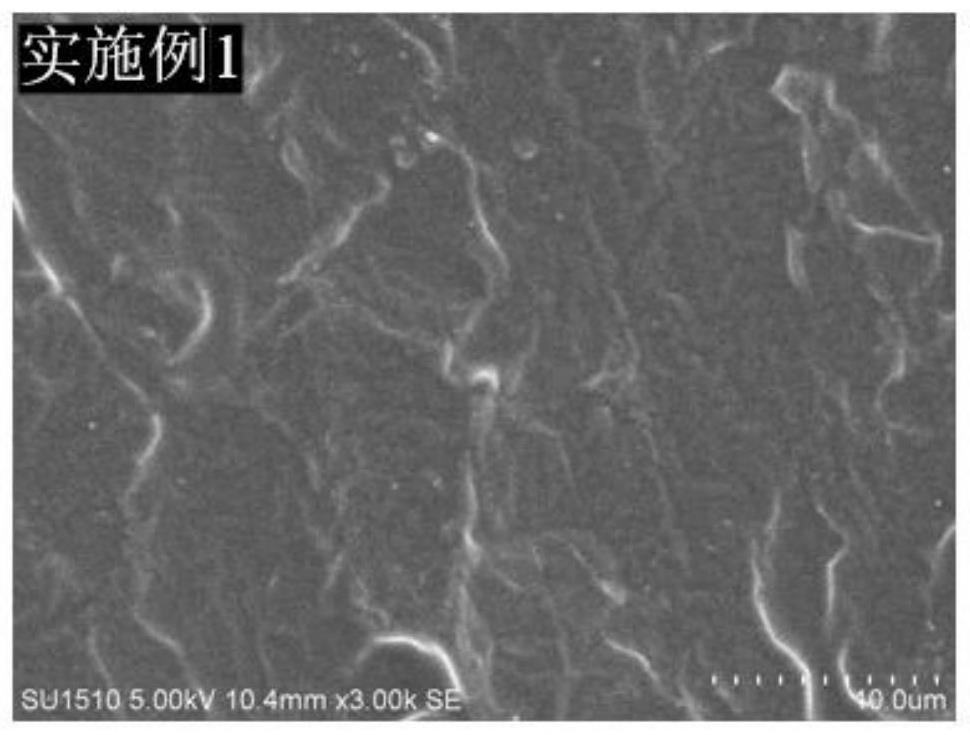 一种疏水热塑性可降解微晶纤维素/淀粉膜及制备方法