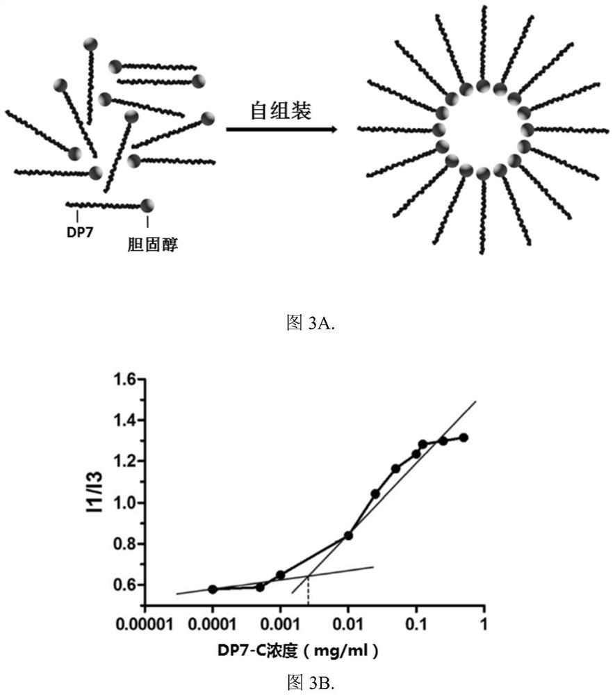 抗菌肽衍生物在制备核酸载体中的用途及核酸载体