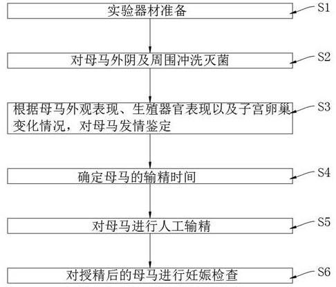 一种马的人工授精方法