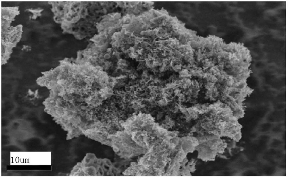 杂掺杂多孔生物质炭电极材料及制备方法和应用