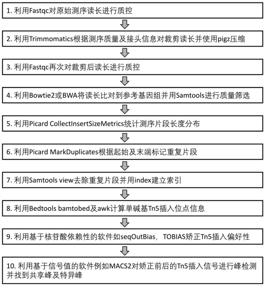 一种基于Tn5矫正的ATAC-seq生物信息学分析方法及装置