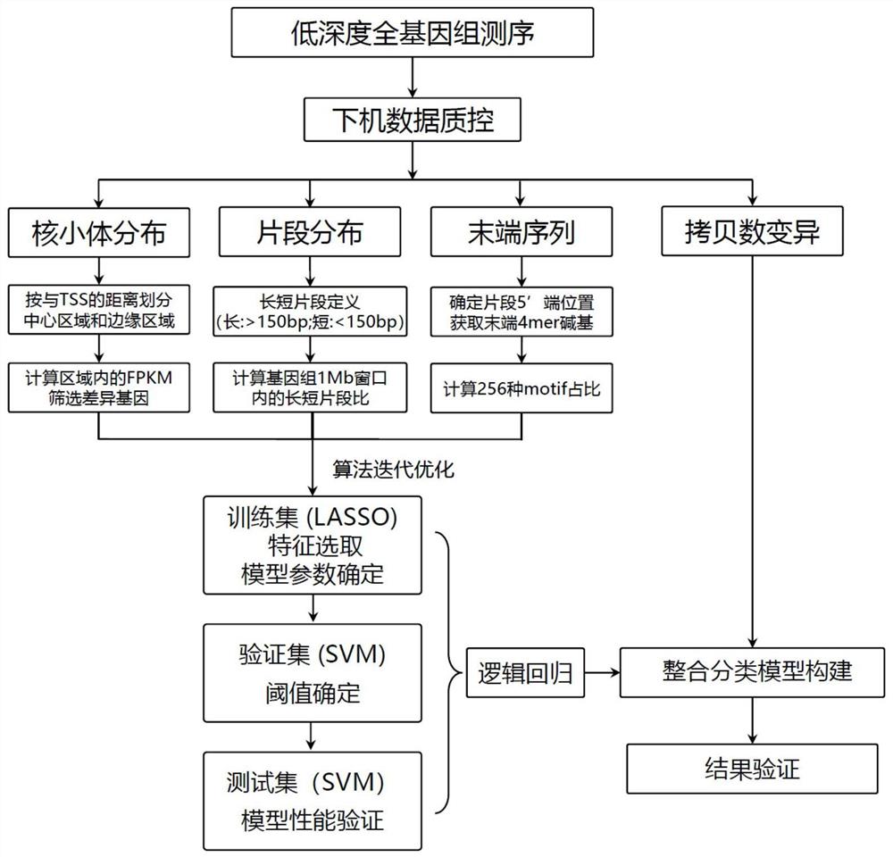 一种癌症检测模型及其构建方法和试剂盒