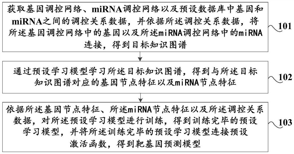 一种靶基因预测模型的生成方法及装置、存储介质