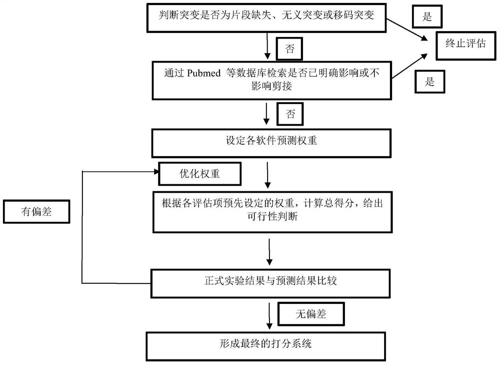 一种基因突变位点影响剪接可能性的评估处理方法