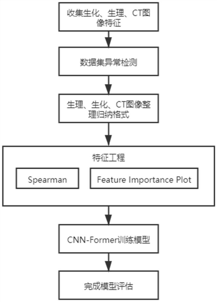 基于Cnn-former的肝纤维化病变检测模型训练方法与系统