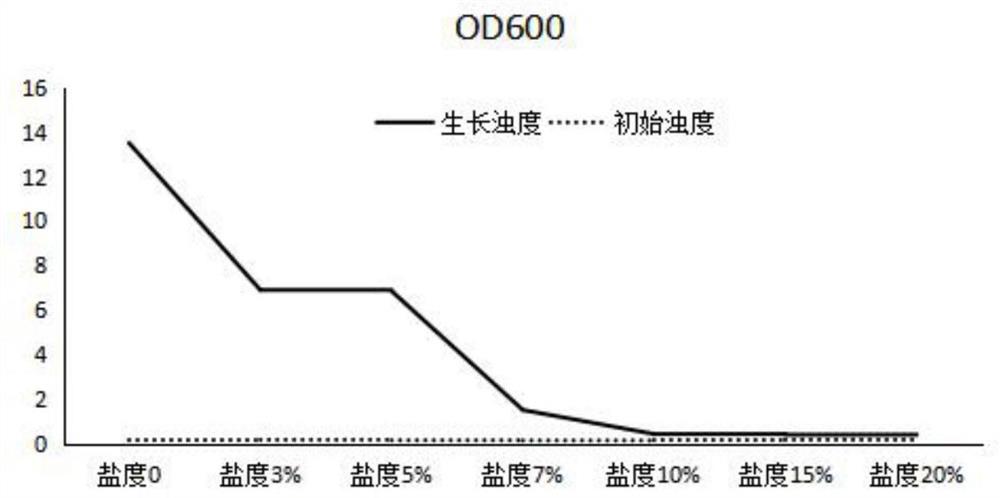 一株耐盐扣囊复膜孢酵母及其在高盐高COD污水处理中的应用