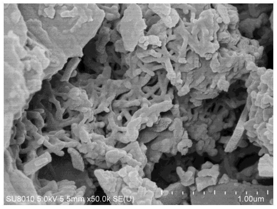 微观结构易调控的氮掺杂多孔炭材料及制备方法和应用