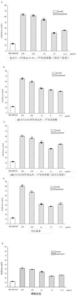 艾叶在治疗和预防由幽门螺旋杆菌引起的胃部疾病中的应用