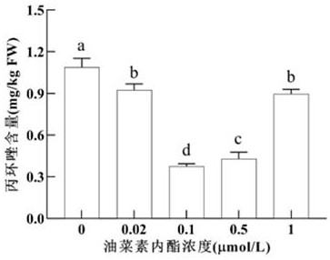 油菜素内酯缓解三七农药胁迫及降低农残的方法