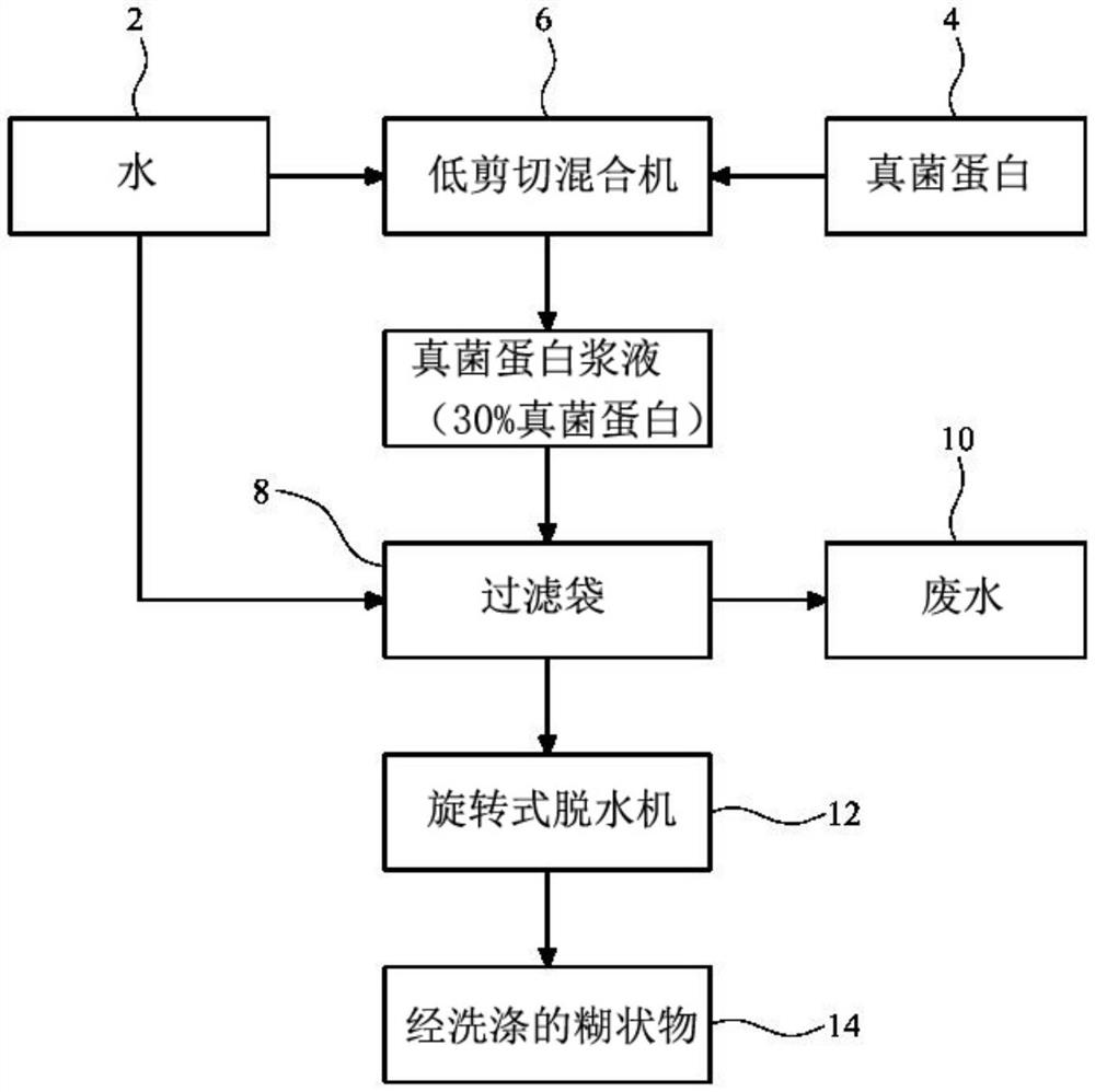 可食用真菌