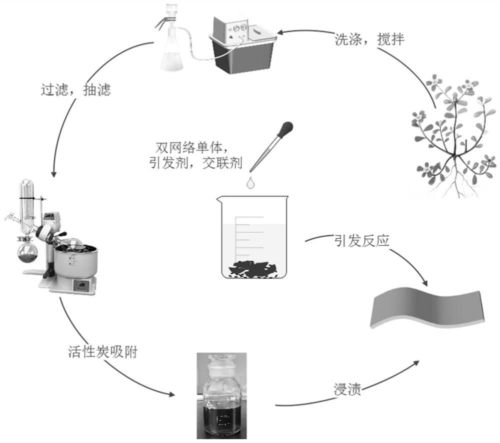 一种高强度抗菌马齿苋水凝胶及其制备方法