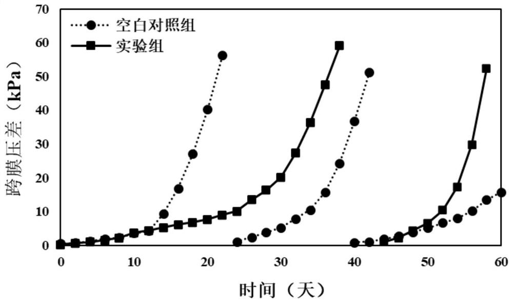 一种利用微生物捕食以抑制群体感应的MBR膜污染控制方法